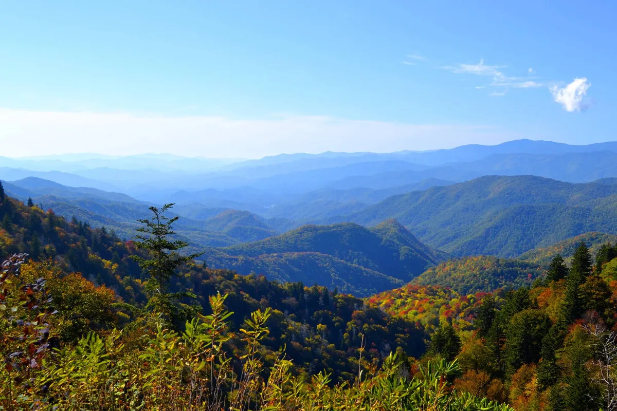 A panoramic view of a mountain range with colorful foliage and a clear blue sky. The image evokes tranquility and the allure of outdoor adventure, capturing the kind of scenic vistas hikers and outdoor enthusiasts can expect near Chattanooga.